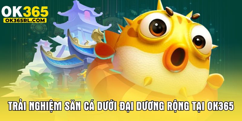 Trải nghiệm săn cá dưới đại dương rộng tại OK365